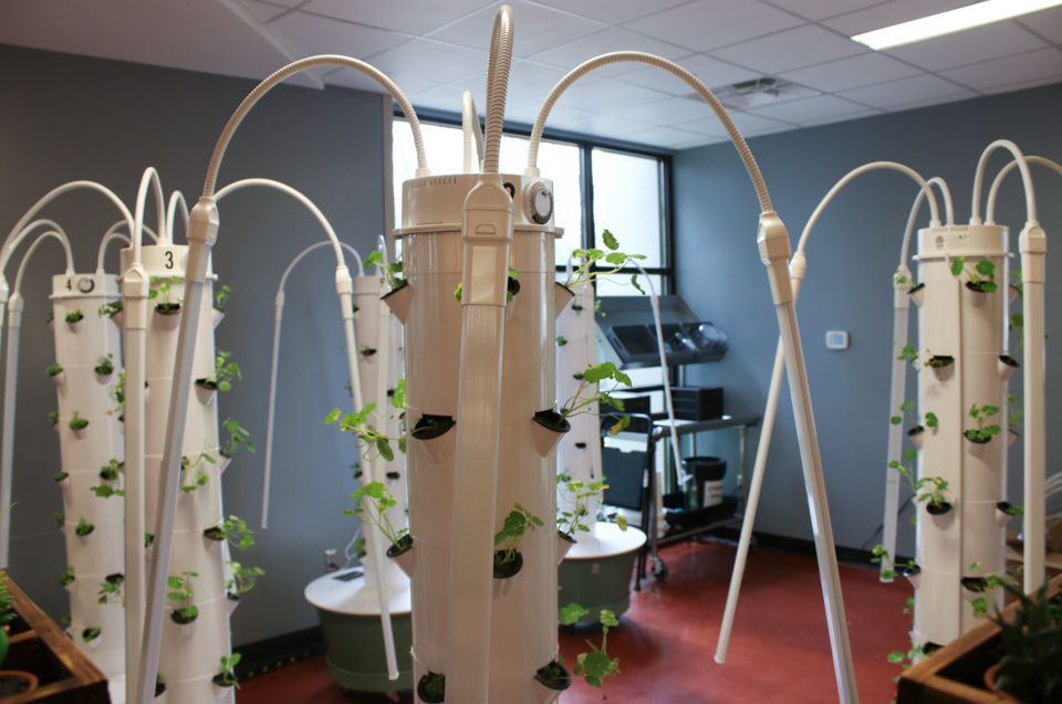 190212_CMB_TowerGardens_056.jpg